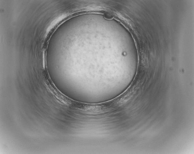 X0000060271171200511112039