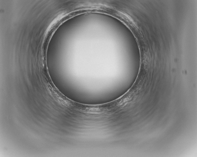 X0000060271172200511112039