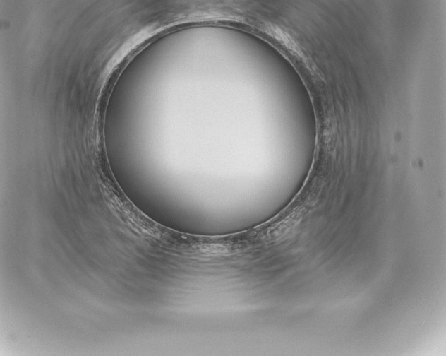 X0000060271173200511112039