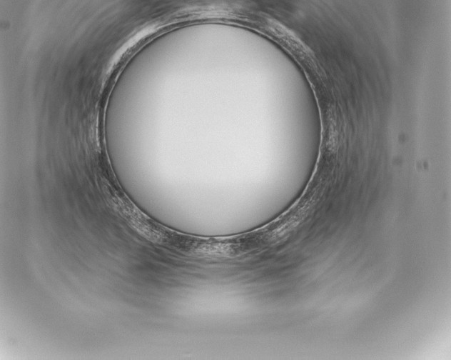 X0000060271174200511112039