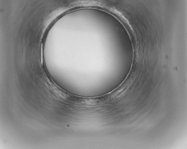 X0000060271175200511112039