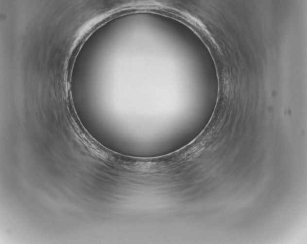 X0000060271176200511112039