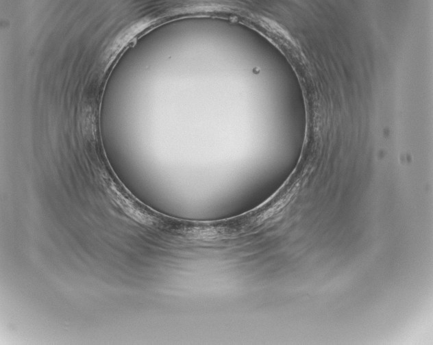 X0000060271177200511112039