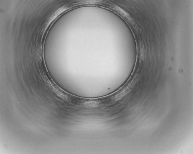 X0000060271178200511112039