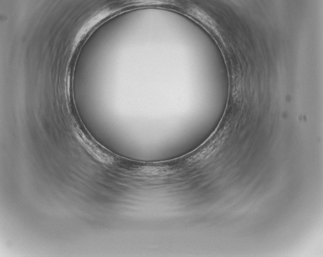 X0000060271179200511112039