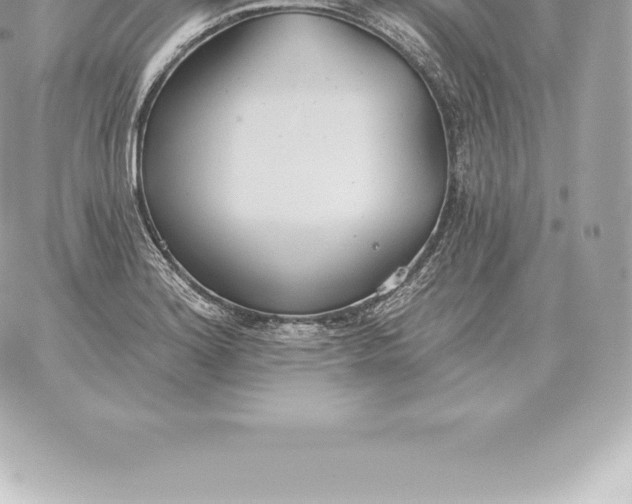 X0000060271180200511112039