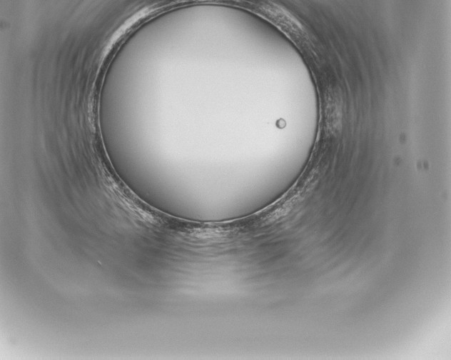 X0000060271182200511112039