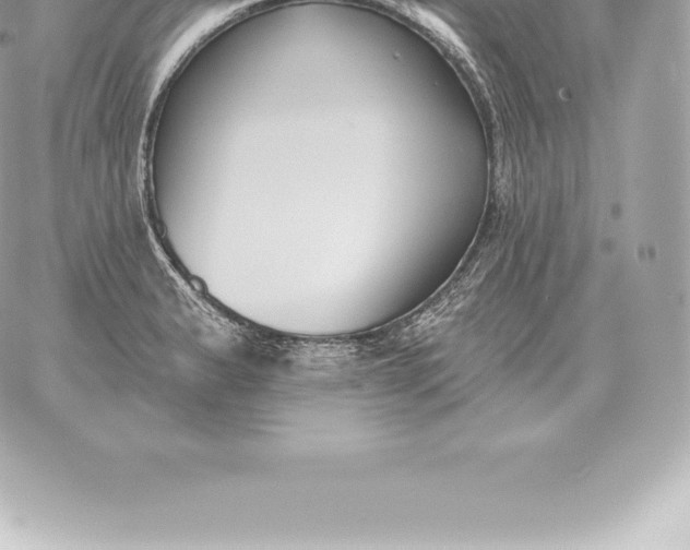 X0000060271183200511112039