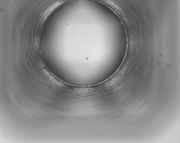 X0000060271185200511112039