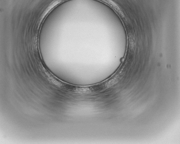 X0000060271186200511112039