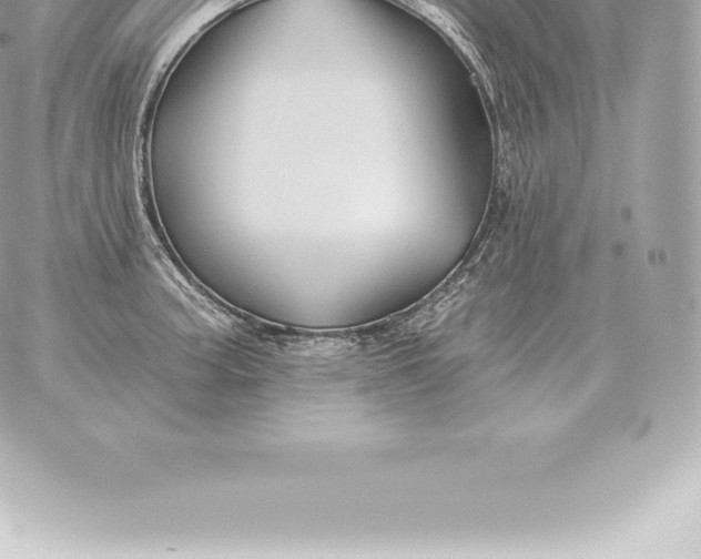 X0000060271187200511112039