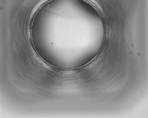 X0000060271188200511112039