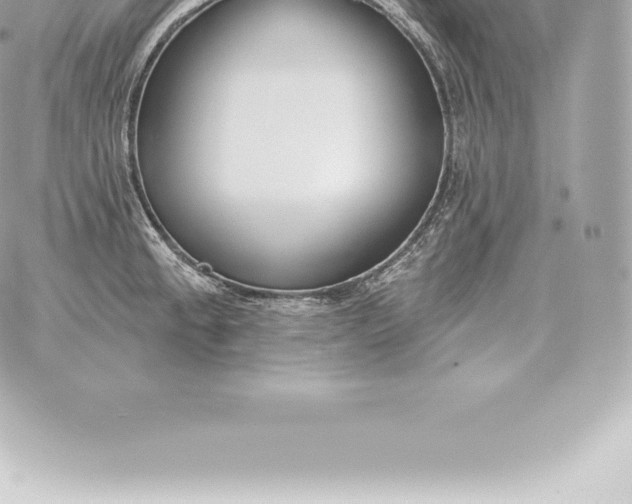 X0000060271189200511112039