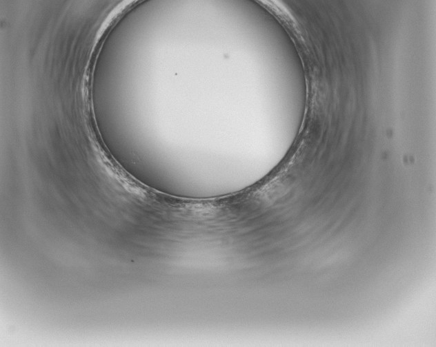 X0000060271190200511112039