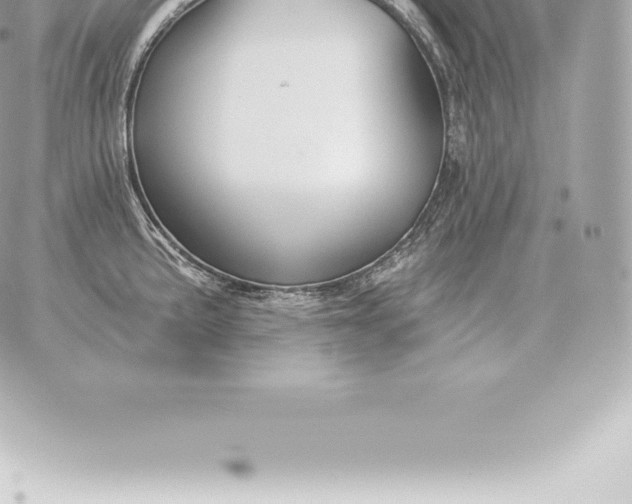 X0000060271191200511112039