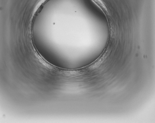 X0000060271192200511112039