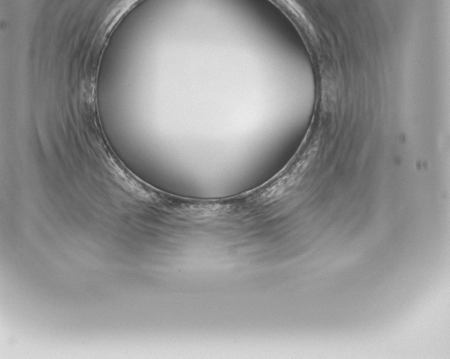 X0000060271193200511112039