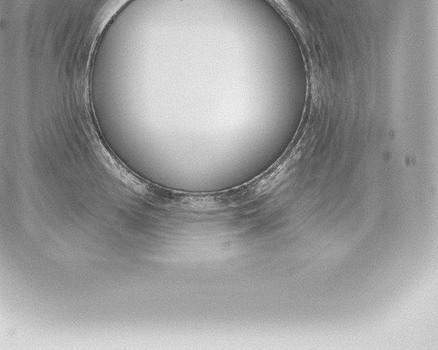 X0000060271194200511112039