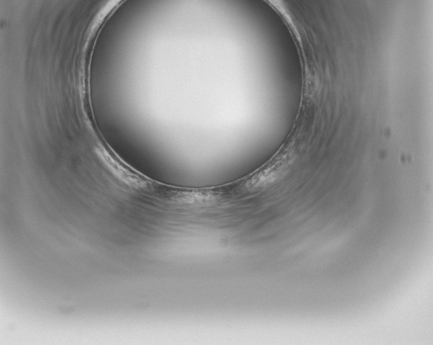 X0000060271195200511112039