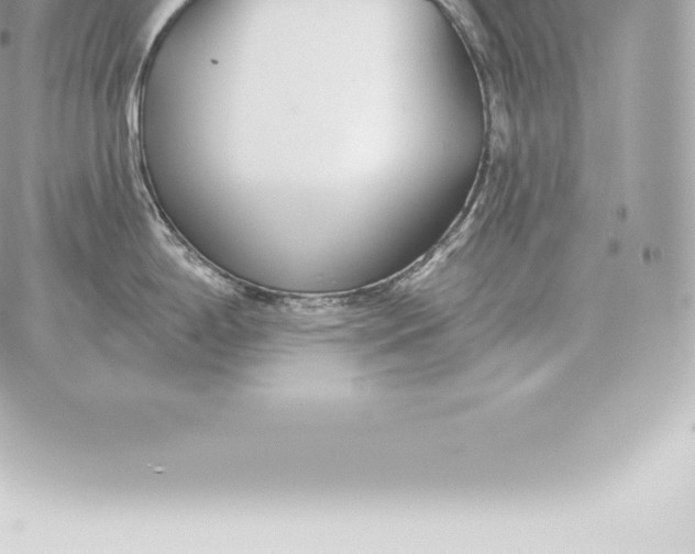 X0000060271198200511112039