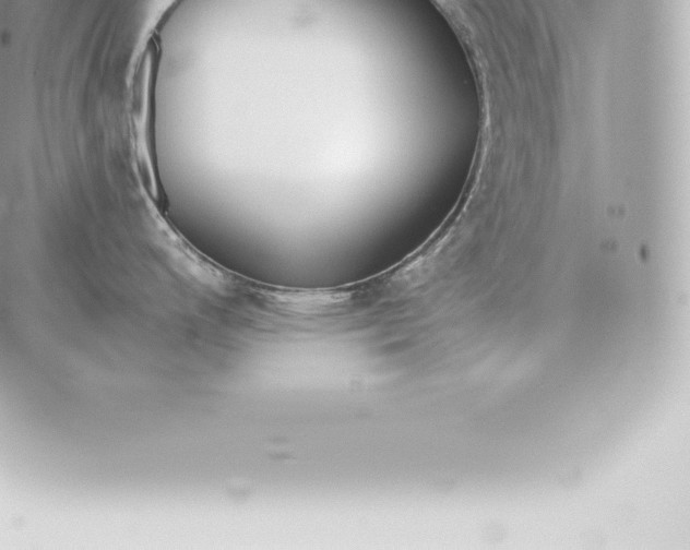 X0000060271200200511112039