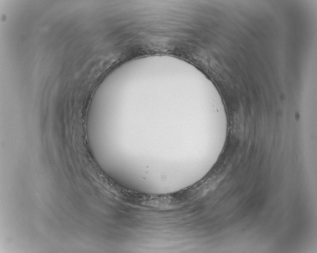 X0000060271201200511112038