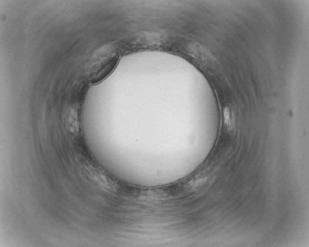 X0000060271203200511112038