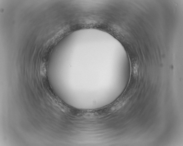 X0000060271204200511112038