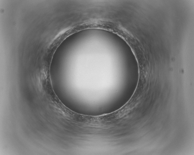 X0000060271206200511112038