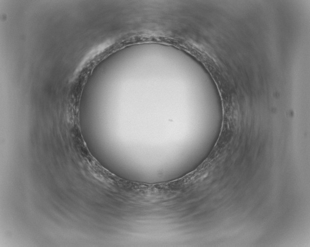 X0000060271207200511112038