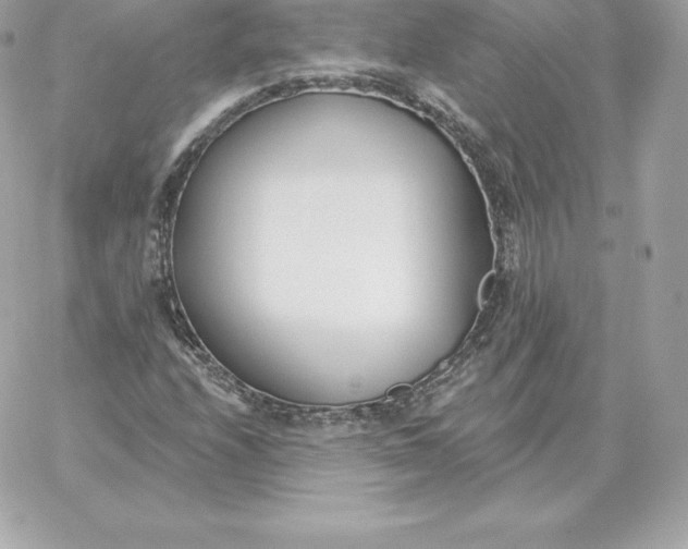 X0000060271208200511112038