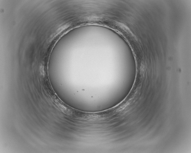 X0000060271209200511112038