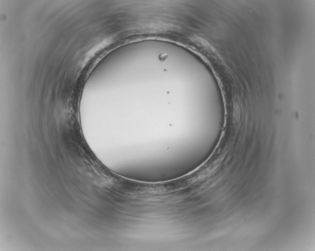 X0000060271210200511112038