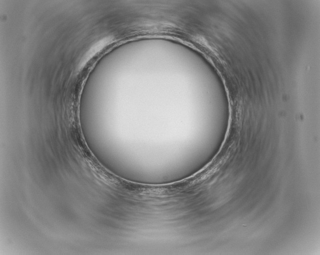 X0000060271211200511112038