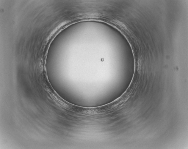 X0000060271212200511112038