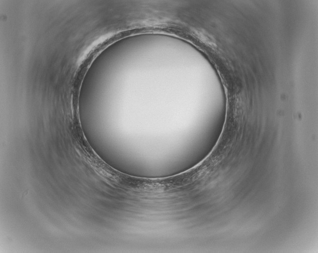 X0000060271214200511112038