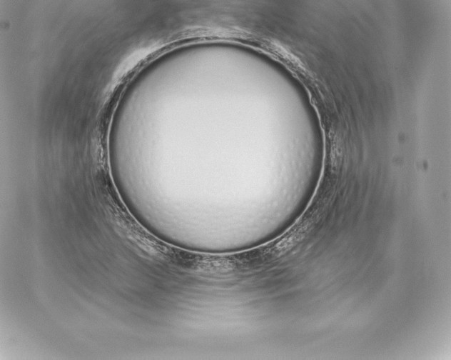 X0000060271215200511112038