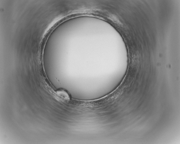 X0000060271216200511112038