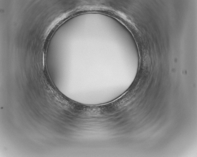 X0000060271221200511112038