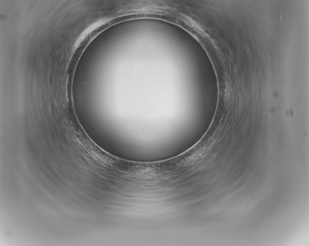 X0000060271222200511112038