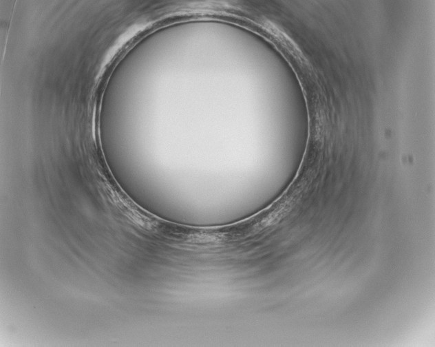 X0000060271224200511112038