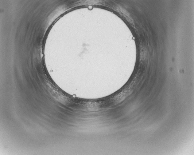 X0000060271226200511112038