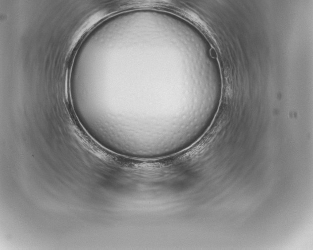 X0000060271227200511112038