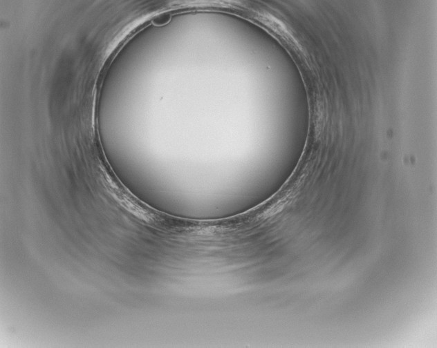 X0000060271228200511112038