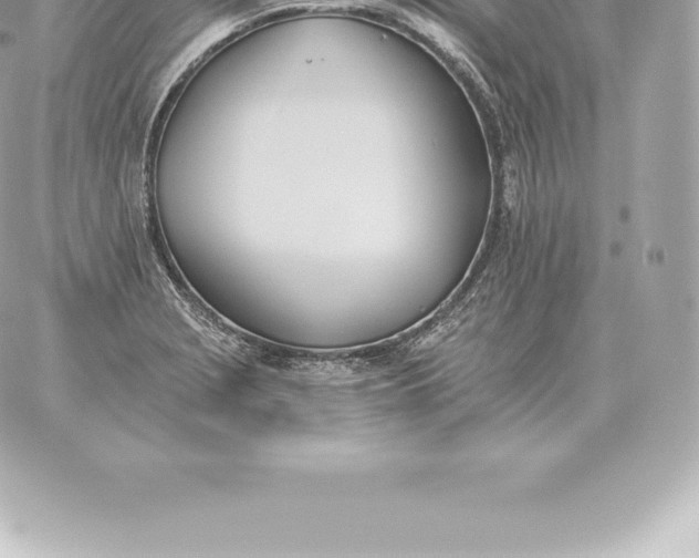 X0000060271229200511112038