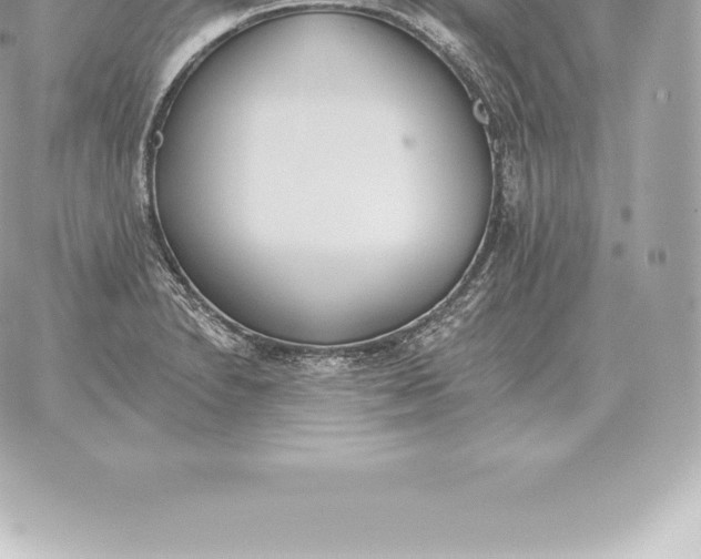 X0000060271230200511112039