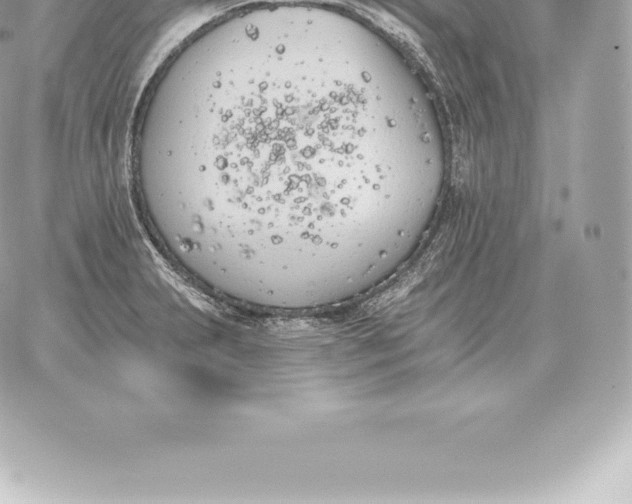 X0000060271231200511112039