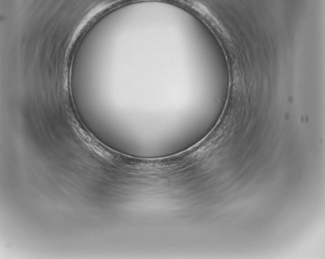 X0000060271232200511112039