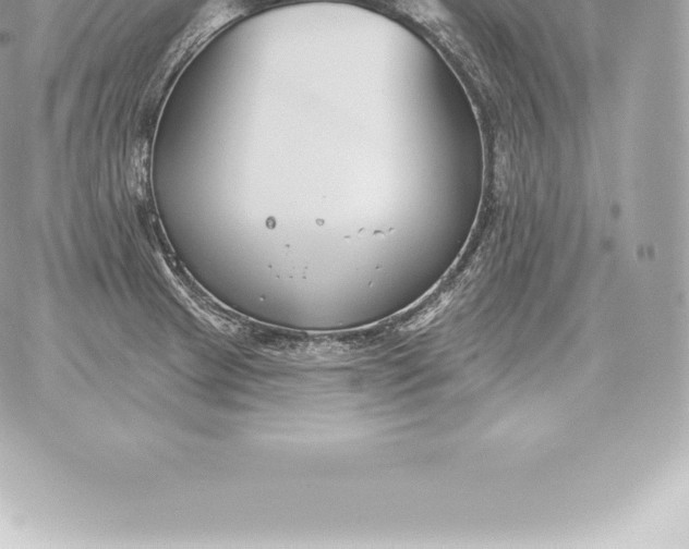 X0000060271233200511112039