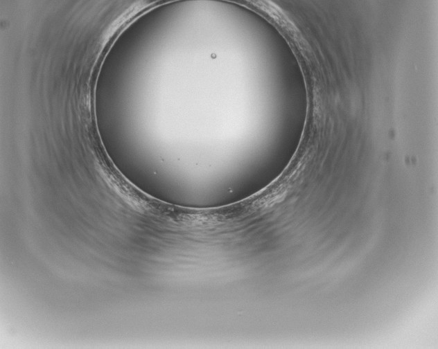 X0000060271234200511112039